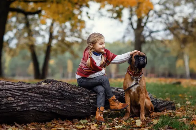 5 psích plemen vhodných k dětem: Tato děti milují a nikdy jim neublíží