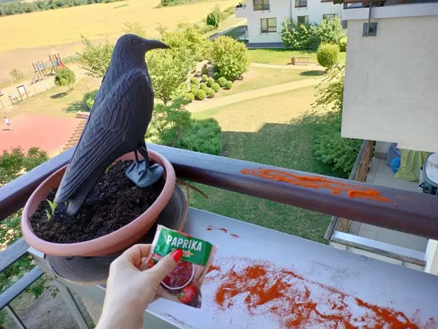 Jak Se Zbavit Holubu Na Balkone () Jak Se Zbavit Holubu Na Balkone