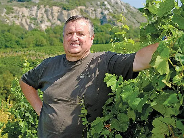 Vinná réva Moldova: Tajemství Kvalitního Vína () Vinná réva Moldova: Tajemství Kvalitního Vína