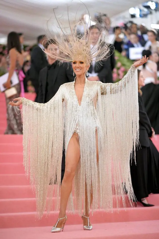Céline Dion má velmi výrazný styl. Vyznačuje se luxusem, barvami, vzory neobvyklými střihy a bláznivými kombinacemi.