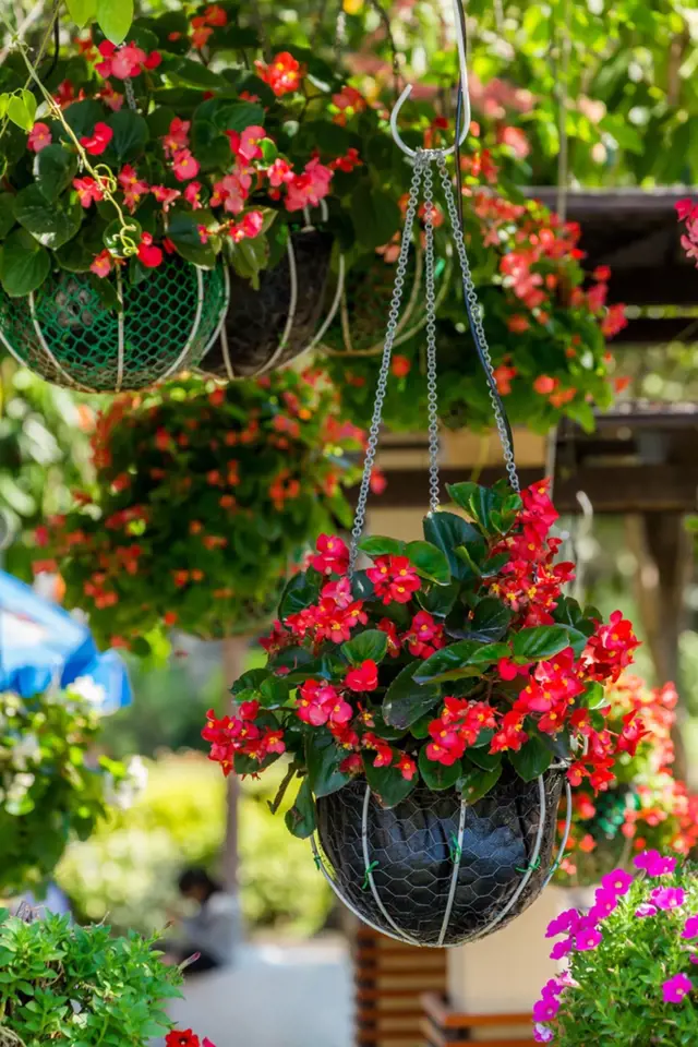Zruční kutilové si mohou sami vyrobit závěsné květináče doma.