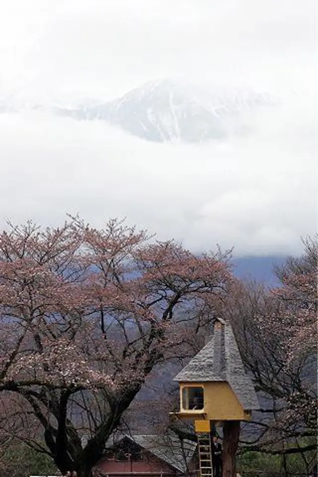 Stromodům v japonské vesnici Hokuto byl stavěný postupně 4 měsíce. Dům je postavený na japonském cypřiši vysokém čtyři metry.