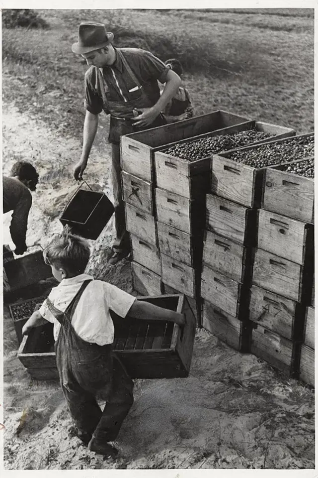 V USA bylo běžné zaměstnávat děti ještě v roce 1939.