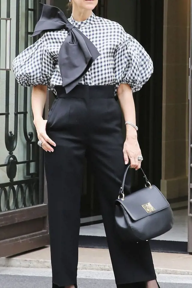 Céline Dion má velmi výrazný styl. Vyznačuje se luxusem, barvami, vzory neobvyklými střihy a bláznivými kombinacemi.