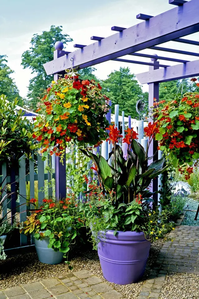 Dosna neboli Canna je ideální rostlinou pro letní terasy.