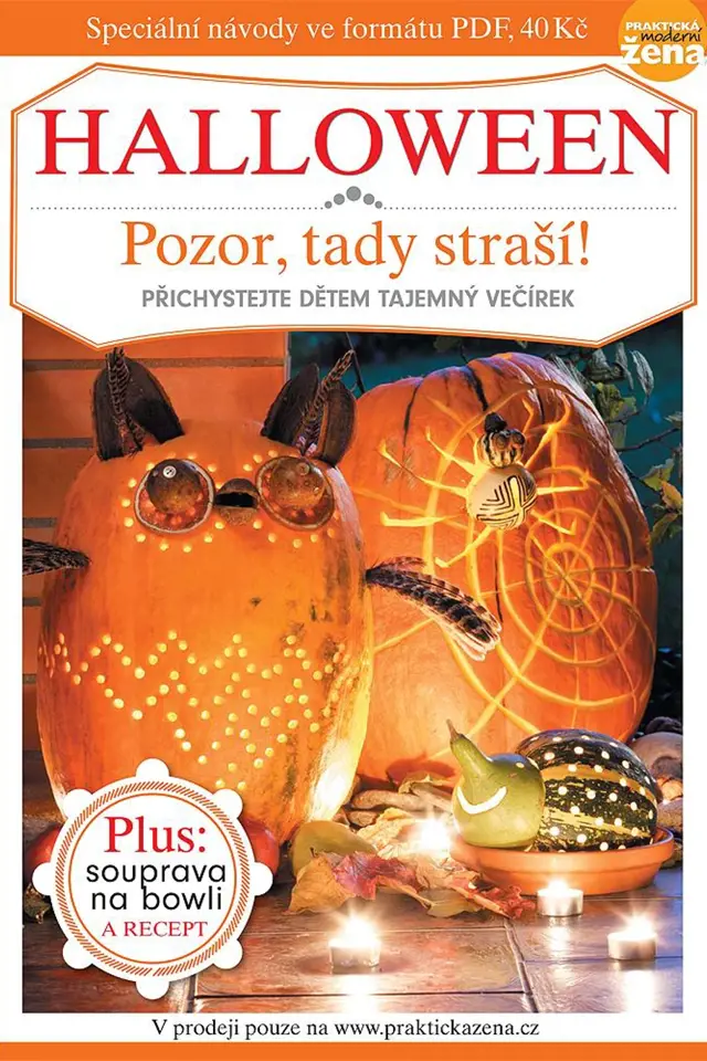 Návody na halloweenské dekorace krok za krokem jsou ke stažení na [www.praktickazena.cz](http://www.praktickazena.cz/pdf.php "www.praktickazena.cz").