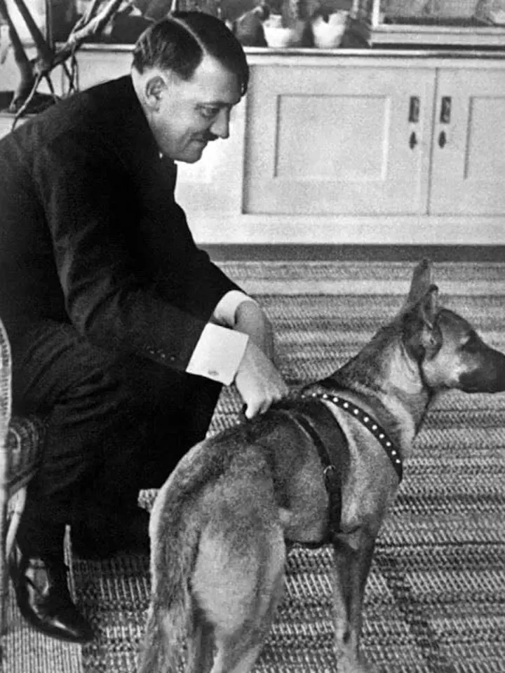 Německého ovčáka choval i Adolf Hitler