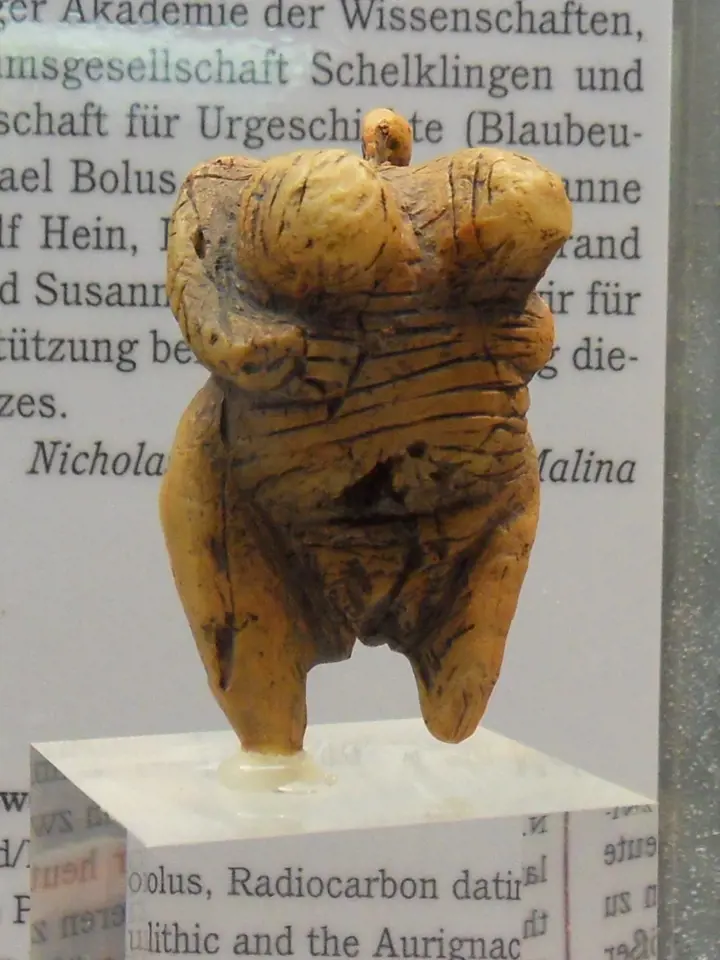 Soška venuše z Hohle Fels (na snímku její replika) pochází z počátku mladopaleolitické kultury aurignacienu. Přezdívá se jí "první pin-up girl"