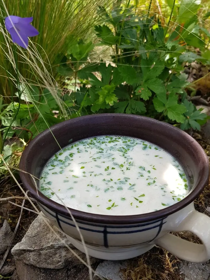 Kedlubnová polévka se hodí do chladnějších jarních dnů.