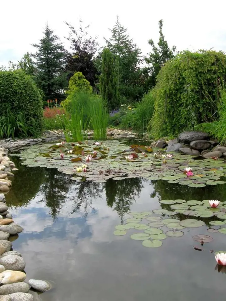 Profesionálně vytvořené jezírko může budit dojem zmenšené kopie přirodního jezera (Zahradnictví Bouše).