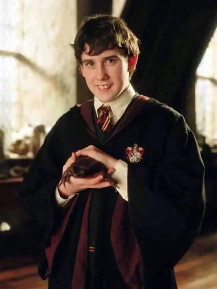 Harry Potter a vězeň z Azkabanu - Matthew Lewis coby Neville Longbottom