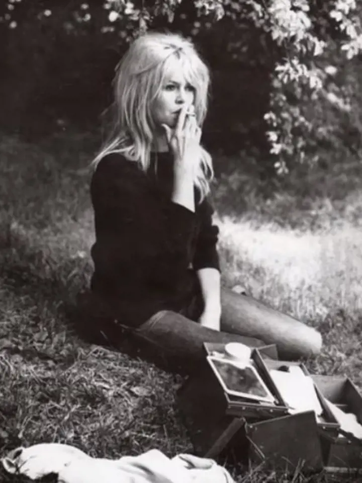 Brigitte Bardot od dětství až po současnost
