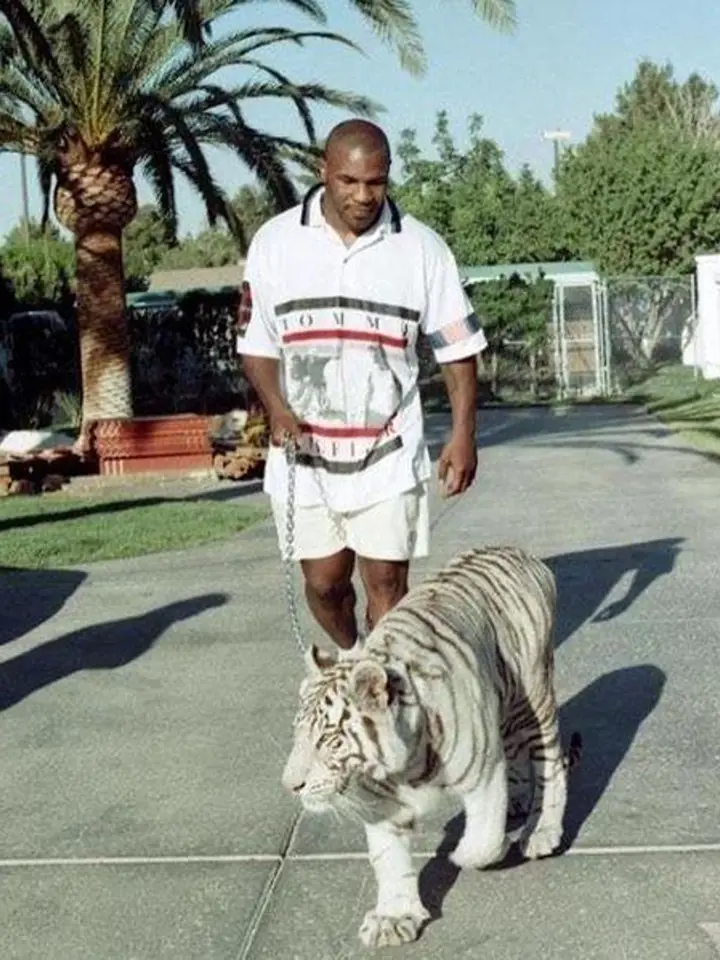 Mike Tyson na procházce se svým mazlíkem, devadesátá léta