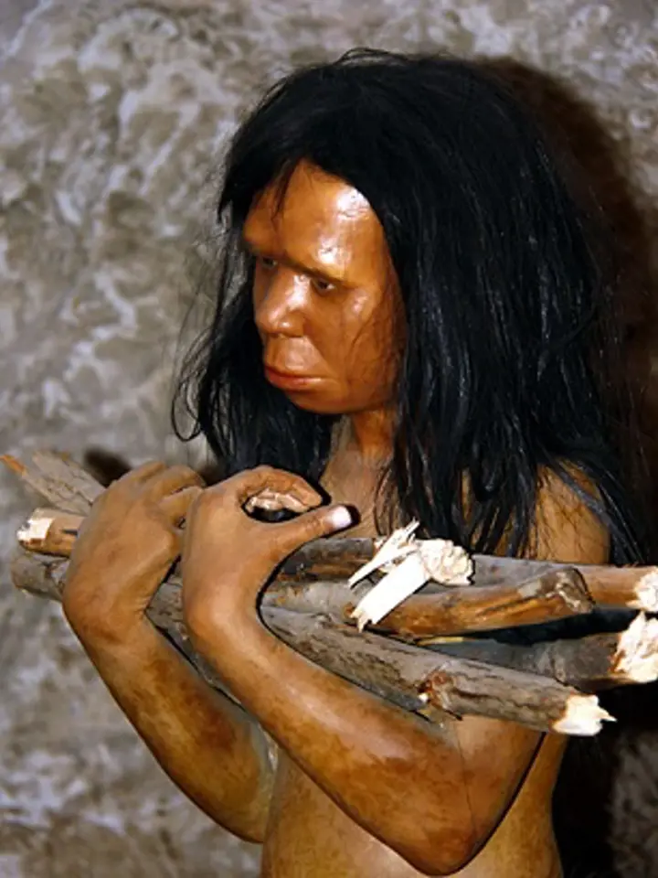 Jisté geny Evropanům předali i neandertálci.
