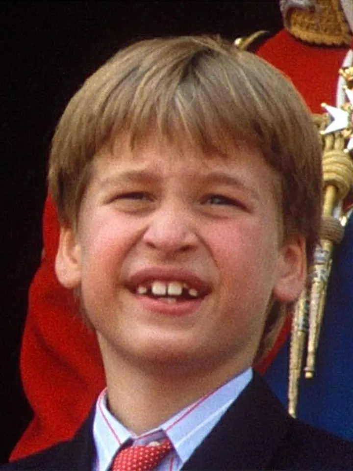 Princ William je v pořadí druhým dědicem britského královského trůnu. 