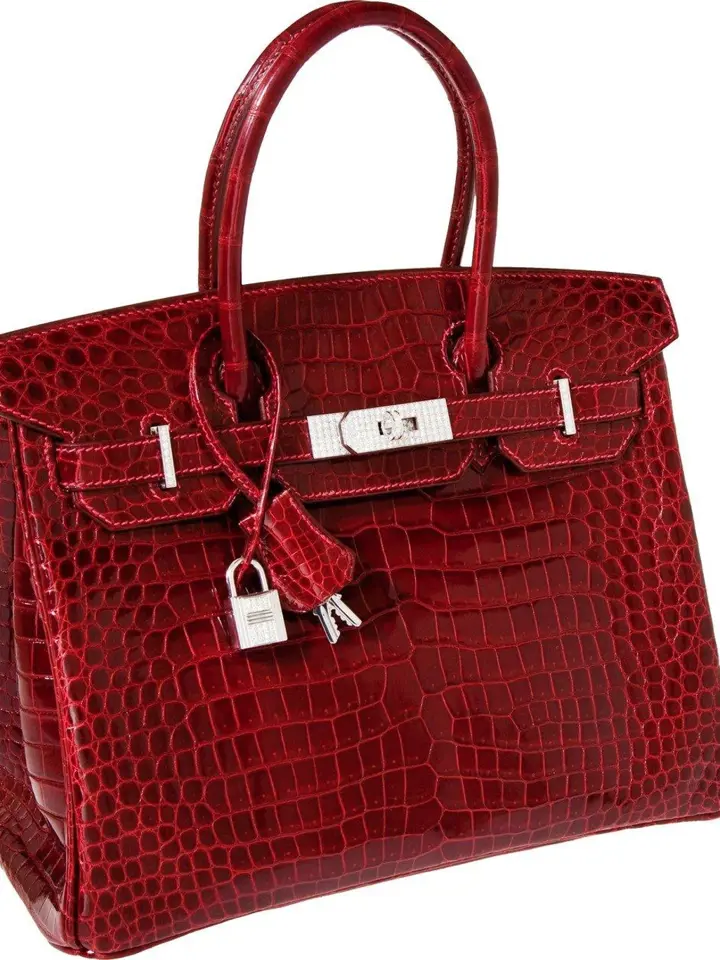 Kabelka - 203 000 dolarů: Tento sběratelský kousek je považován za nejdražší kabelku na světě. Jde o ručně vyráběný kousek z pravé krokodýlí kůže z dílny Hermes.