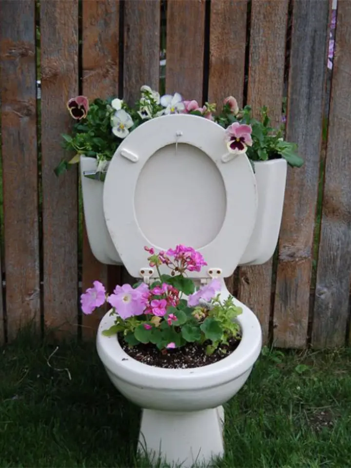 Je libo květináč ze záchodové mísy?