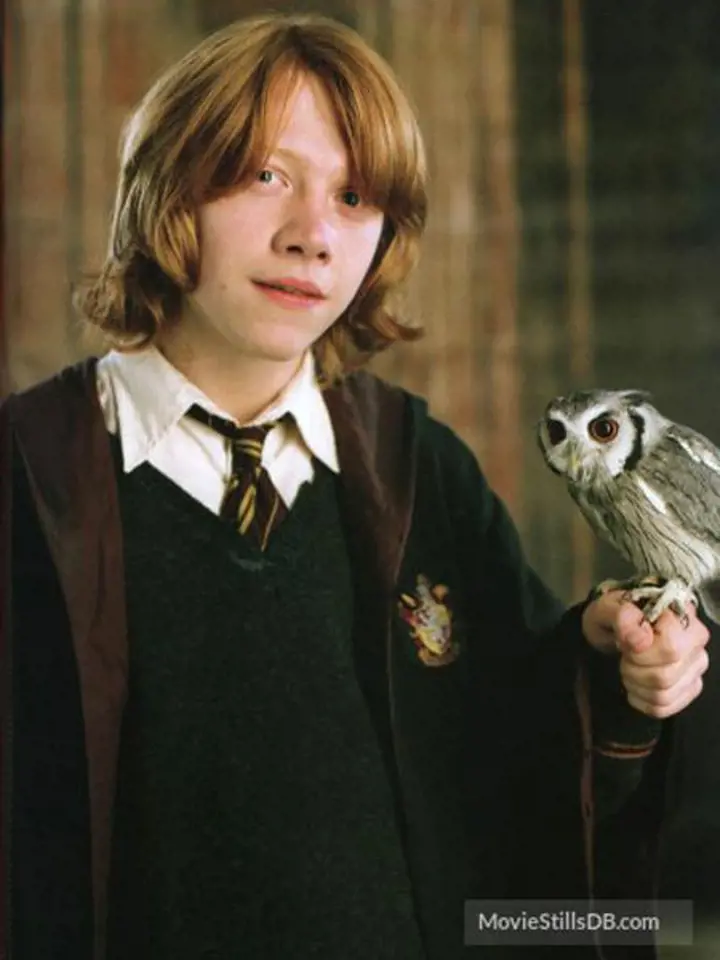 Harry Potter a Ohnivý pohár - Rupert Grint coby Ron Weasley