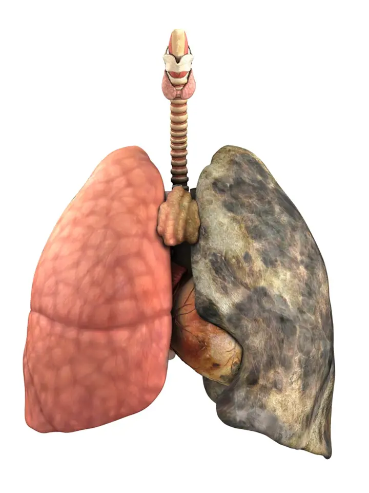 Nepodceňujte péči o plíce.