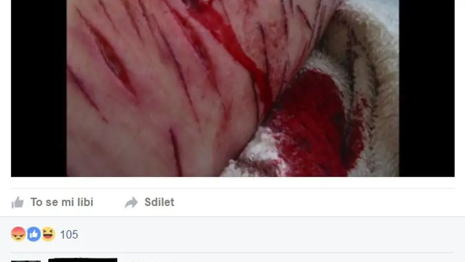 Reálné zranění, nebo fejk? Ukázka postu z veřejné facebookové skupiny navštěvované dětmi do 15 let