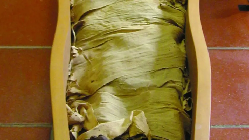 Mumií je spousta, ale žádná jako ta, kterou zkoumal Granville. 