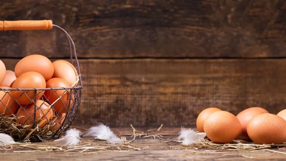 Pochutnejte si na čerstvých vejcích z volného chovu