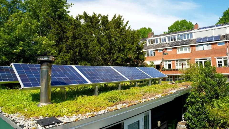 Zelená střecha má pozitivní vliv i na výkon panelů.