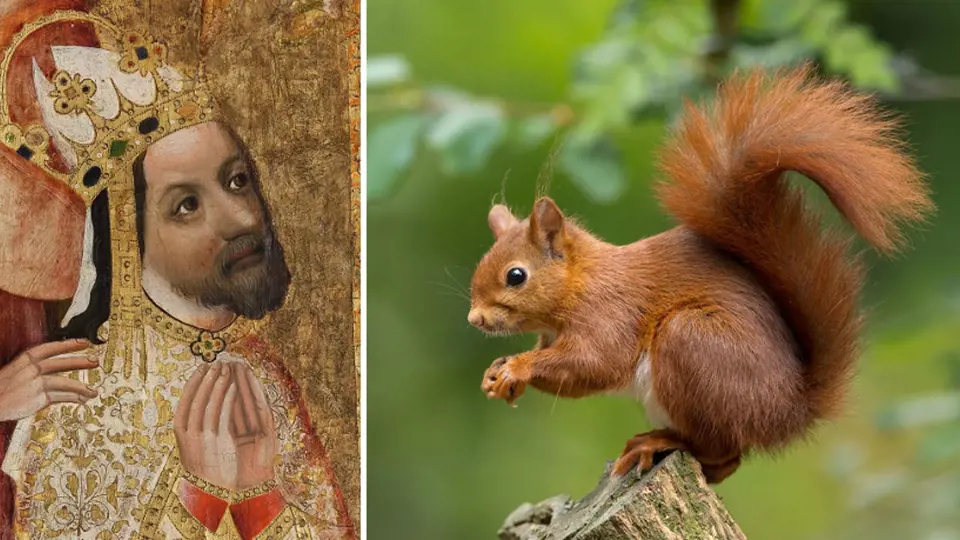 Za časů Karla IV. šlechta jedla všechno, co běhalo po lese. Třeba i veverky.