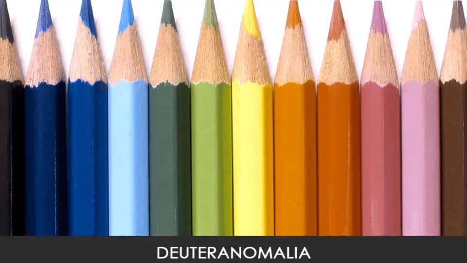 Takto jsou vidět barvy při deuteranomalii, částečné poruše vidění zelené barvy.