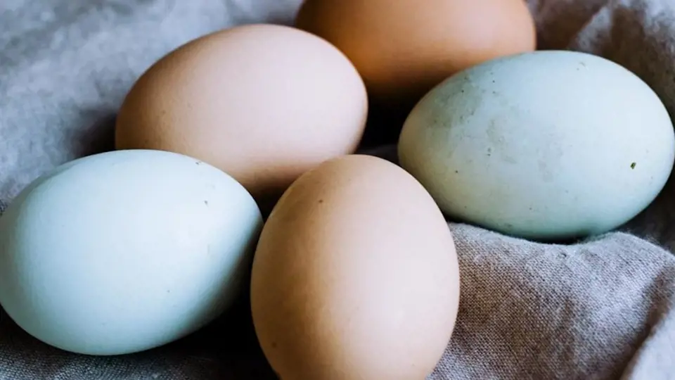 Vzduch ve vajíčku při vaření způsobí, že praskne, bílek vyteče ven a vy máte po večeři. Ale existuje pár rad, jak vejce uvařit bez problémů. Nechte je zahřát na pokojovou teplotu a do rendlíku s vroucí tekutinou je vkládejte na lžičce a vodu osolte.