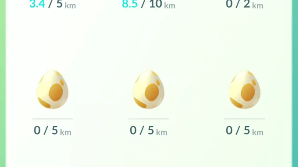 vejce v inkubátorech