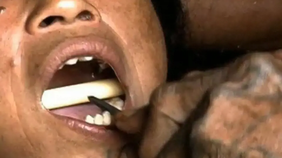 Sekání zubů