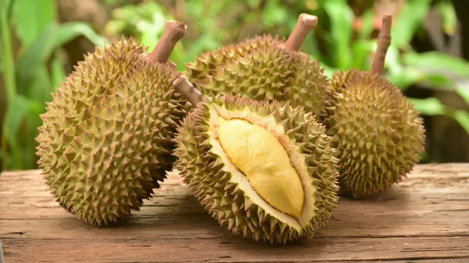 Ovoce: Ano, je to tak! Chlebovník neboli durian je sice velmi chutný, ale zároveň je to také velmi zapáchající exotické ovoce. V Thajsku s ním nesmíte vstoupit ani na letiště, což se samozřejmě dozvíte z všudypřítomných informačních cedulí.