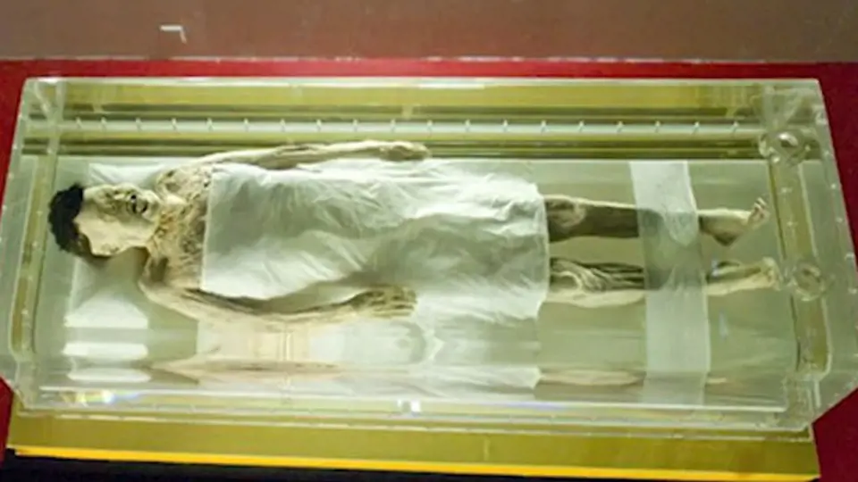 Mumie skrývala i zbytky krve v žilách.