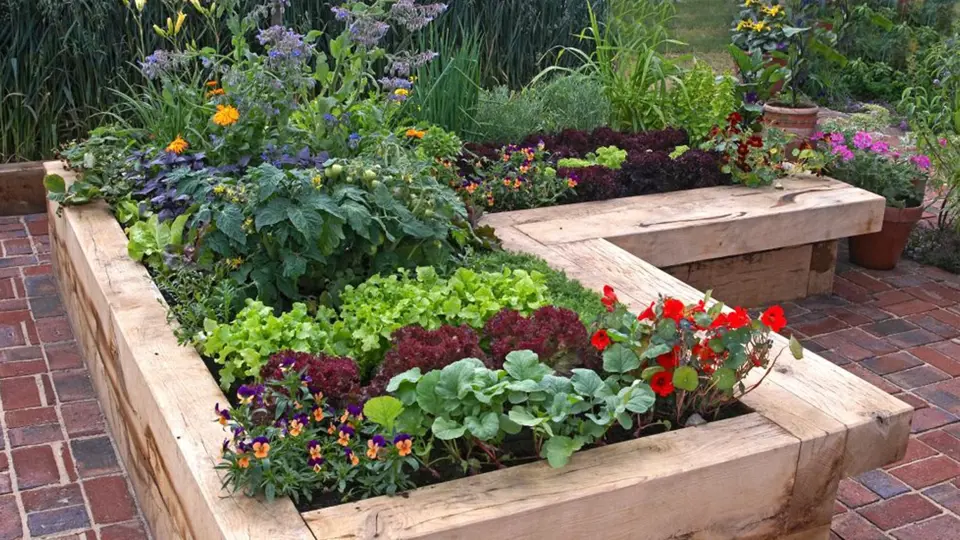 Zeleninu i jedlé květiny lze pěstovat na dekorativních záhonech