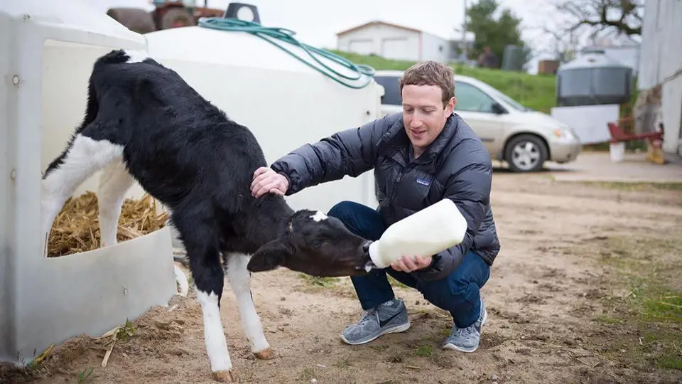 Mark Zuckerberg se prezentuje jako filantrop a ochránce práv zvířat a lidí