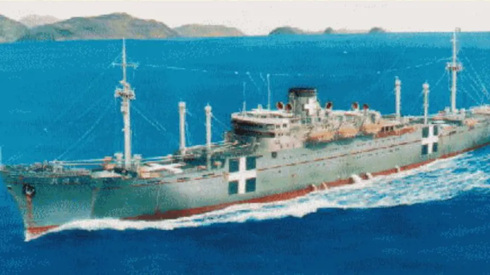 Takto japonská loď Awa Maru vypadala
