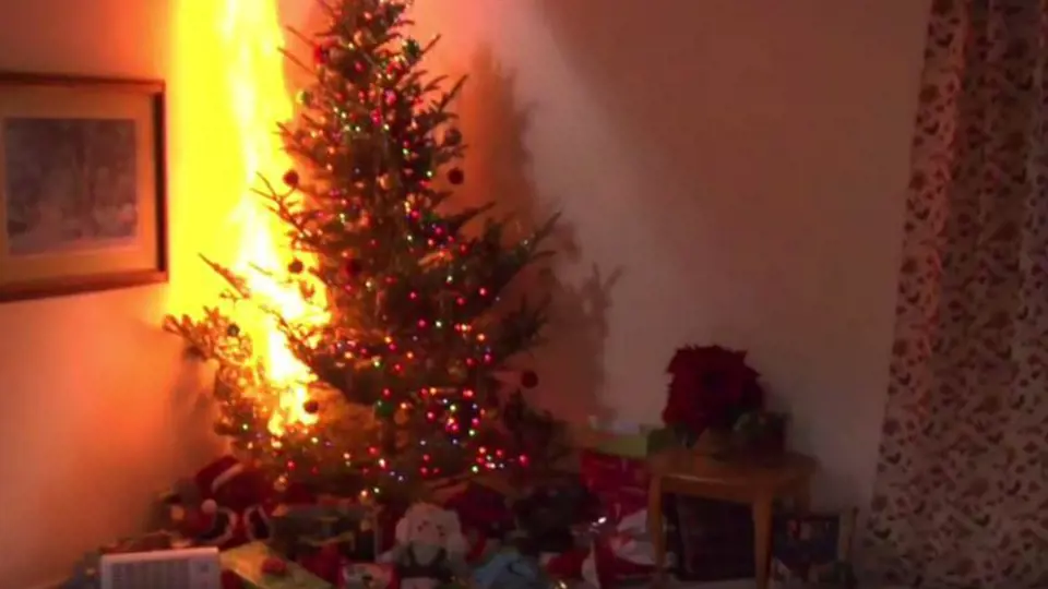 Vánoční stromky mají ročně na svědomí několik stovek požárů a také několik desítek mrtvých...