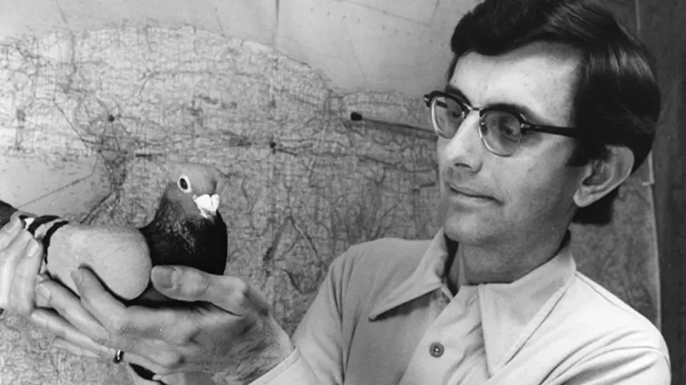 Bill Keeton se jako vždy první vážně zabýval zbloudilými holuby.