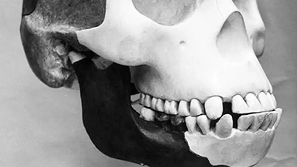 Pittdownský podvod. V prosinci 1912 nalezl amatérský archeolog Charles Dawson u anglického Sussexu fosilie, které se tvářily jako dlouho hledaný článek mezi opicí a člověkem. Jenže roku 1953 se prokázal podvod. Nevinný vtip se prý autorovi vymkl z rukou.