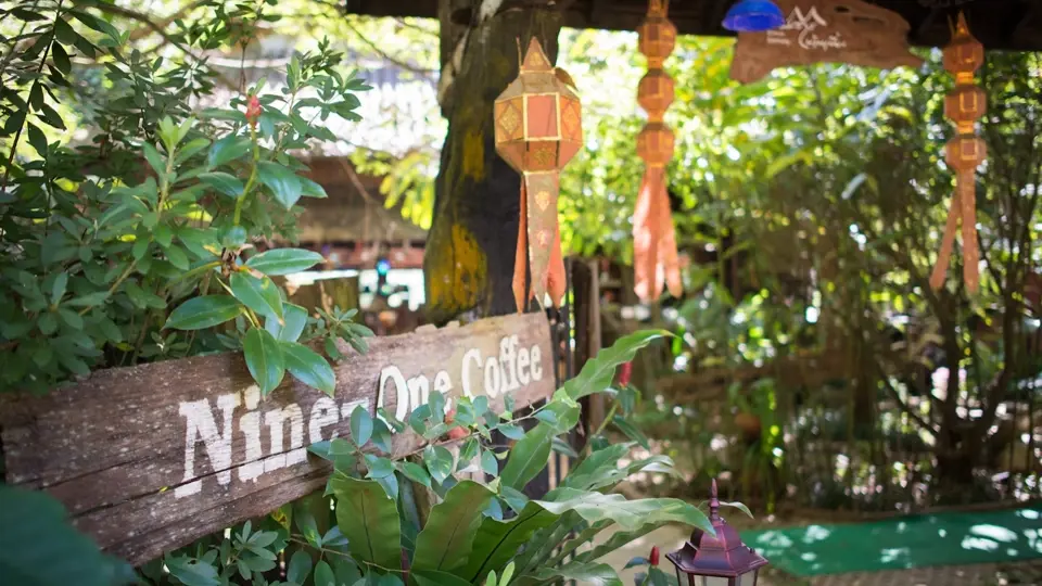 Krom kavárny a restaurace provozuje pan One jak u cesty mezi Chiang Mai a Chiang Rai, tak přímo na farmě několik chatek a bungalowů, kde se můžete na několik dní ubytovat a zažít si život v džungli a na kávové farmě.