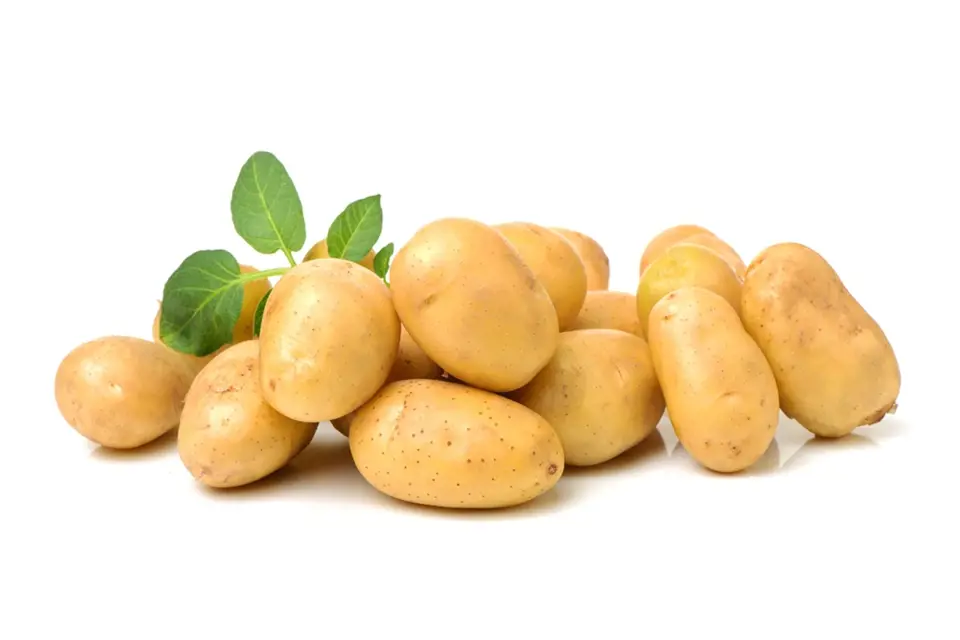 Rané brambory se nemusí loupat.