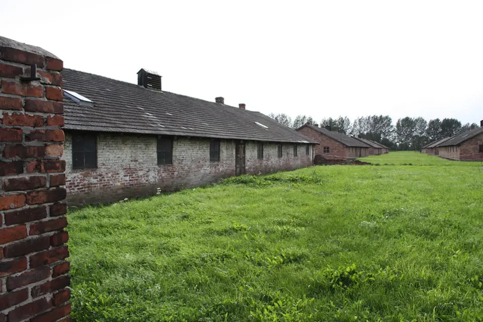 Auschwitz II-Birkenau, sektor BIIf – nemocniční tábor