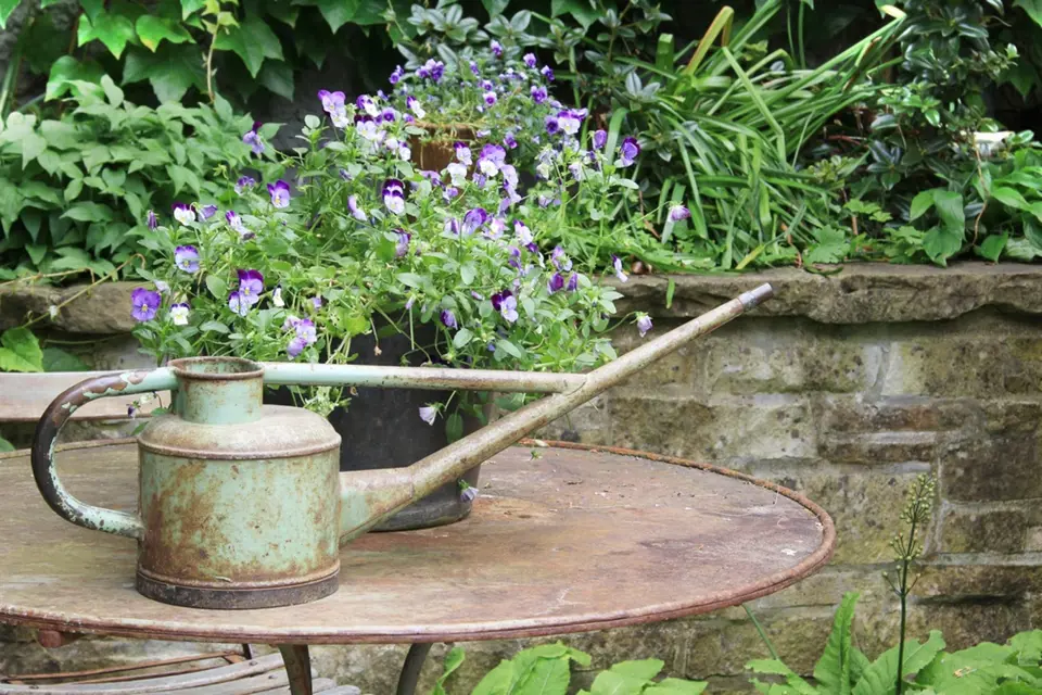 Suchá zahradní zídka vytváří působivé pozadí pro nádhernou historickou konvičku na starém kovovém stolku.