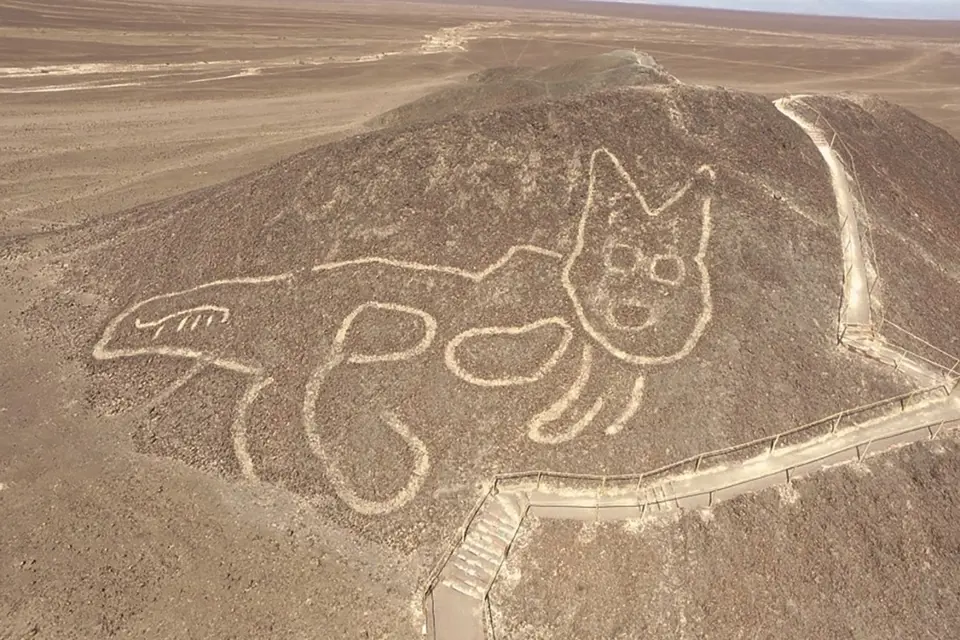 Obrazec kočky na planině Nazca