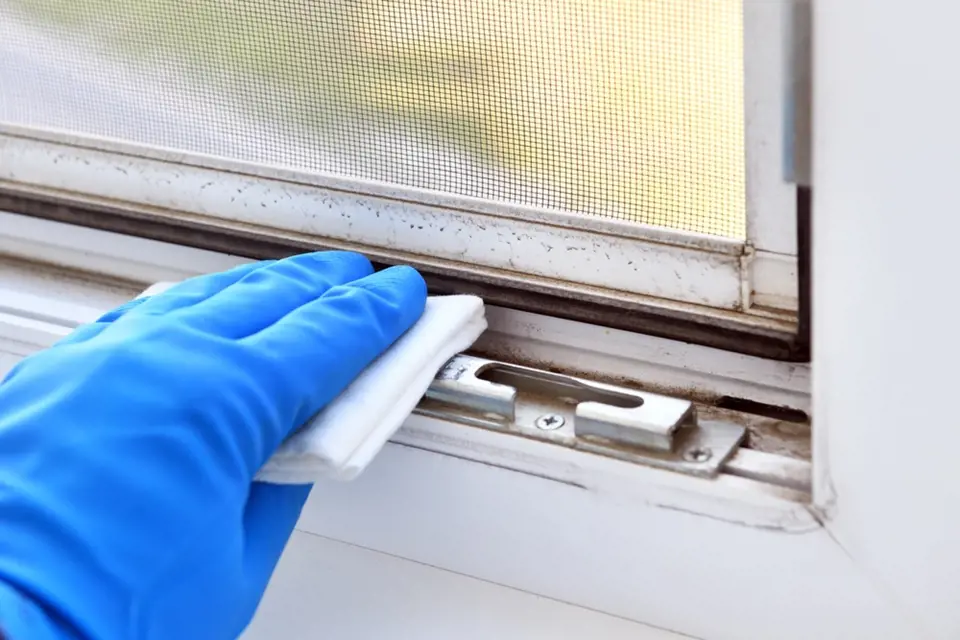 Pokud je na okně síť proti hmyzu, čistí se rámy obtížně.