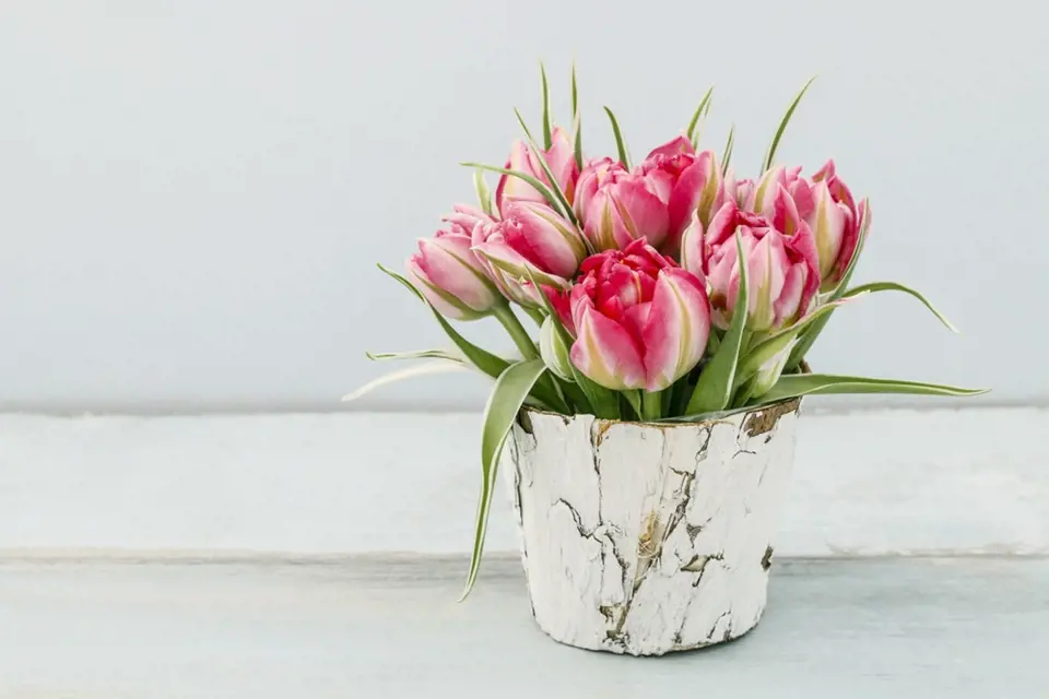 Do nízké nádoby tulipány umístíme díky namočené aranžovací hmotě.