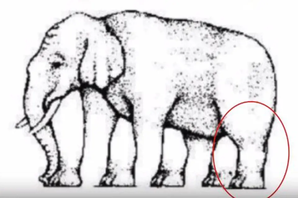 Ovšem jedinou správnou odpovědí je, že slon má jen jednu nohu, ostatní se jen jeví jako nohy, ale ve skutečnosti jimi nejsou.