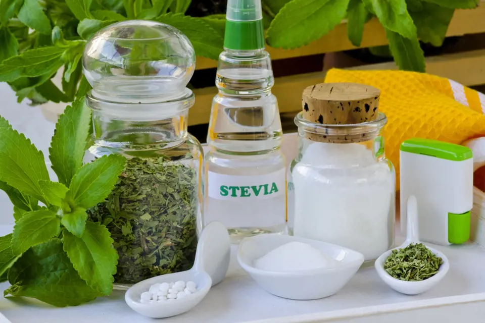 Stevii můžete mít v podobě sušené bylinky, ale i kapek či tabletek. 