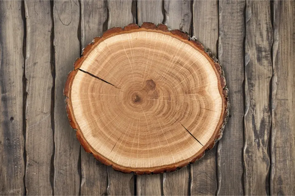 Pokud má plát dřeva také hezkou neoloupanou kůru, můžeme ho nechat po obvodu bez přizdobování.